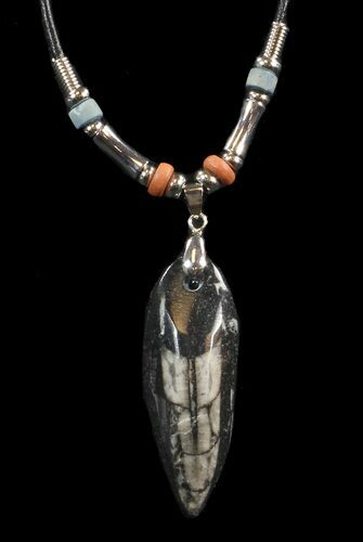 Fossil Orthoceras (Devonian Cephalopod) Necklace #43120